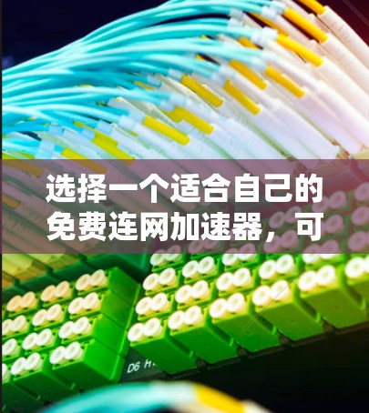选择一个适合自己的免费连网加速器，可以按照以下步骤进行