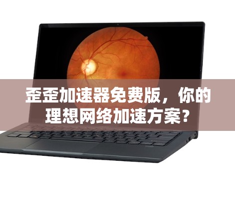 歪歪加速器免费版,你的理想网络加速方案?
