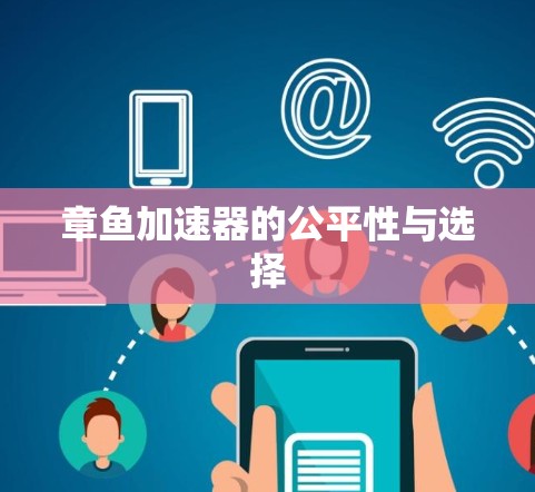 章鱼加速器的公平性与选择