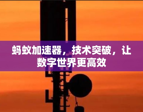 蚂蚁加速器，技术突破，让数字世界更高效