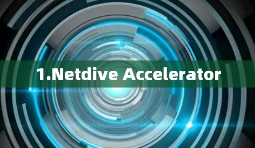 1.Netdive Accelerator