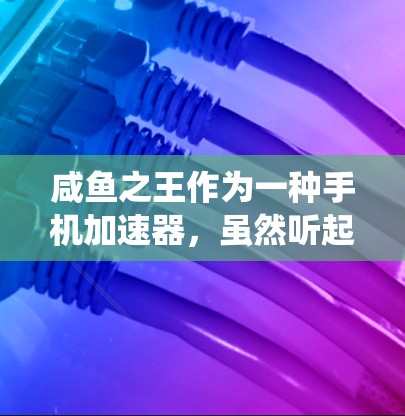 咸鱼之王作为一种手机加速器,虽然听起来像是一种快速提升手机性能的工具,但它的实际效果和使用体验并不理想。以下是对该加速器的系统性和使用方面的分析
