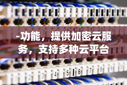 -功能,提供加密云服务,支持多种云平台(如AWS、Azure、Google Cloud)的访问控制