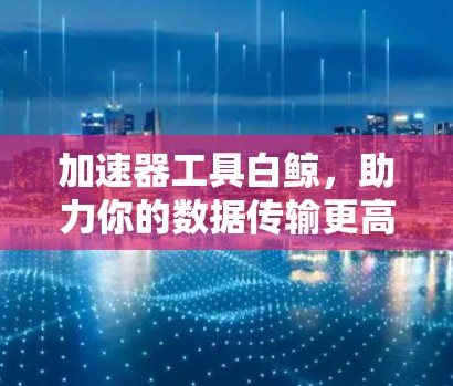 加速器工具白鲸，助力你的数据传输更高效