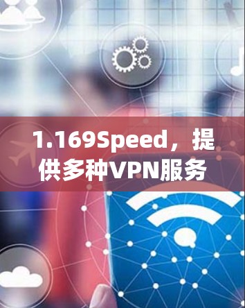 1.169Speed，提供多种VPN服务，适合个人用户