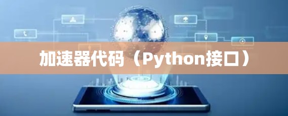 加速器代码(Python接口) 加速器代码(Python接口)