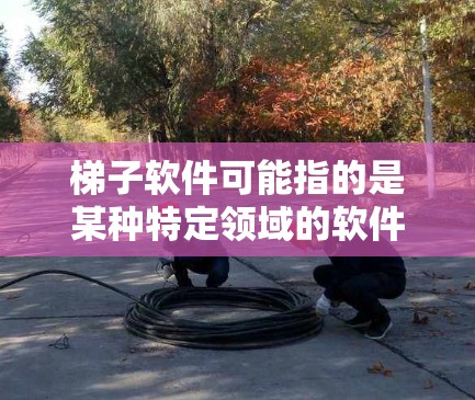梯子软件可能指的是某种特定领域的软件工具,具有梯子的寓意,即稳定、可靠、易于使用的特性。以下是一些可能的解释和推荐
