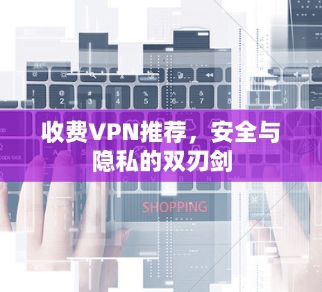 收费VPN推荐,安全与隐私的双刃剑