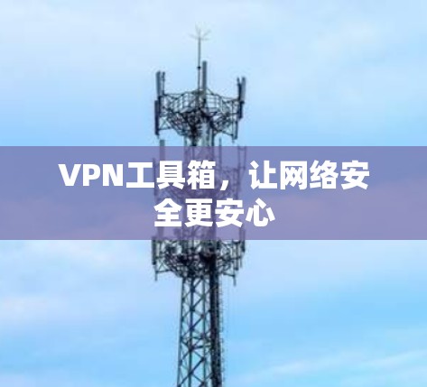VPN工具箱,让网络安全更安心