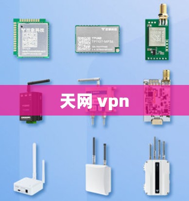 天网 vpn