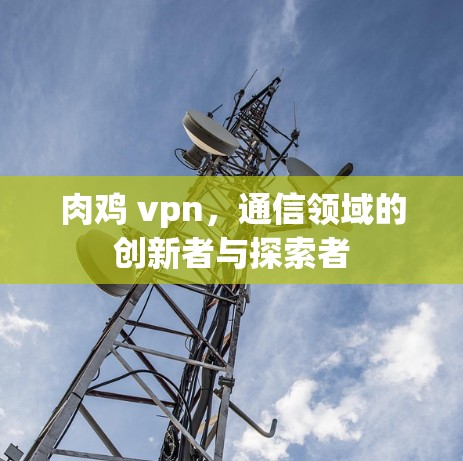 肉鸡 vpn，通信领域的创新者与探索者