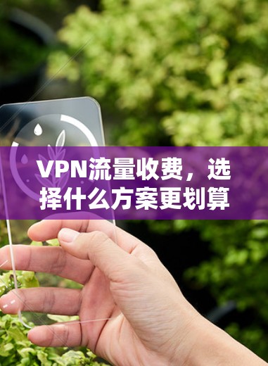 VPN流量收费,选择什么方案更划算?