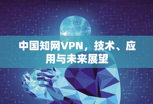 中国知网VPN，技术、应用与未来展望