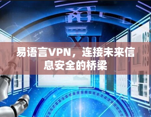 易语言VPN,连接未来信息安全的桥梁