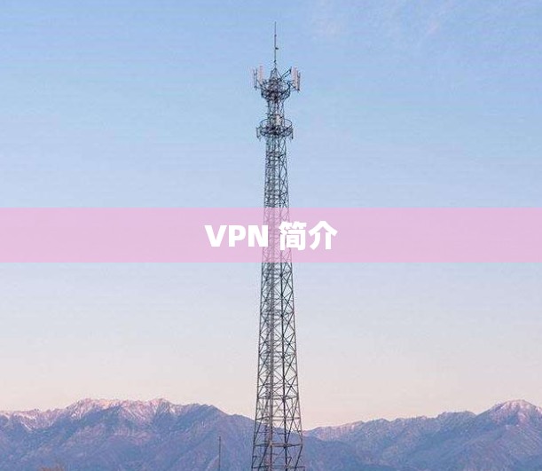 VPN 简介