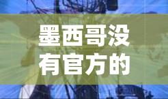 墨西哥没有官方的VPN服务,但如果你对墨西哥的网络环境感兴趣,以下是一些可能的信息和建议