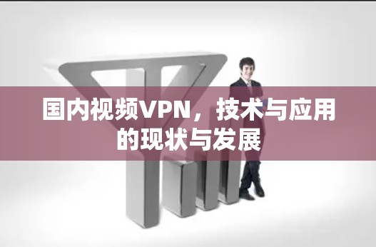 国内视频VPN，技术与应用的现状与发展
