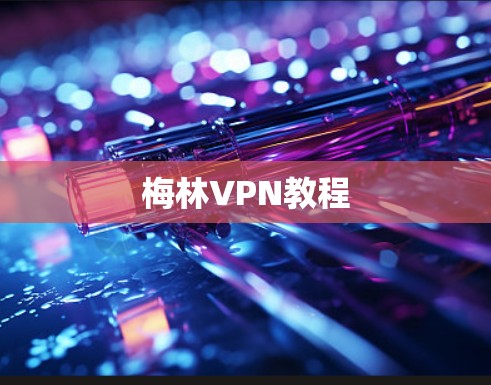 梅林VPN教程