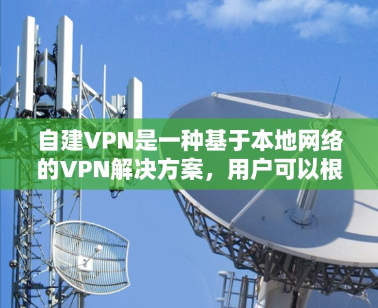 自建VPN是一种基于本地网络的VPN解决方案，用户可以根据自己的网络环境和需求自行设置和管理。以下是详细的步骤和信息，帮助您进行自建VPN的设置和使用