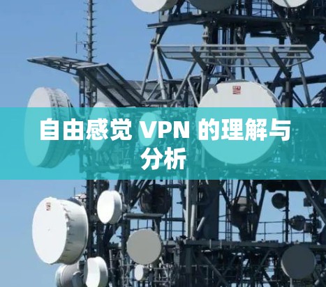 自由感觉 VPN 的理解与分析