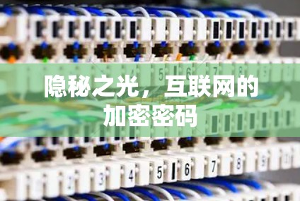 隐秘之光,互联网的加密密码