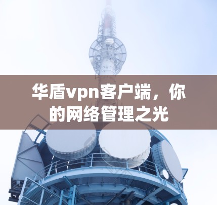 华盾vpn客户端,你的网络管理之光