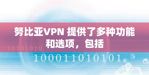努比亚VPN 提供了多种功能和选项,包括