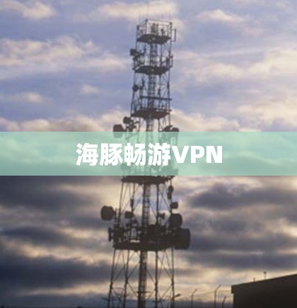 海豚畅游VPN