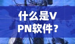 什么是VPN软件?