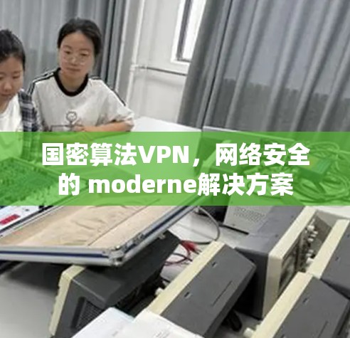 国密算法VPN,网络安全的 moderne解决方案