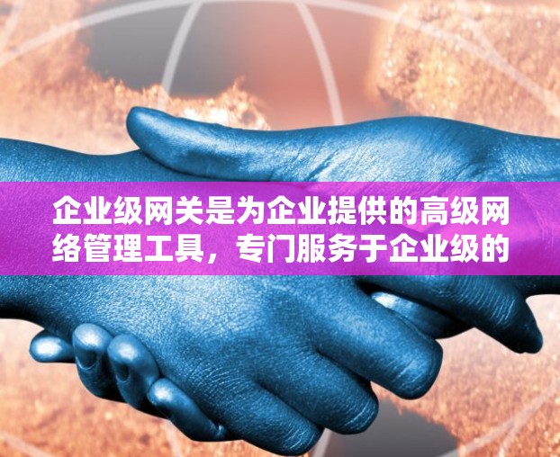 企业级网关是为企业提供的高级网络管理工具,专门服务于企业级的VPN协议和网络管理需求。以下是对企业级网关的详细分析