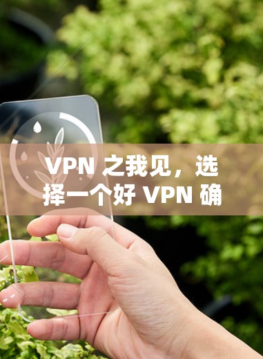 VPN 之我见,选择一个好 VPN 确实重要 VPN 之我见,选择一个好 VPN 确实重要