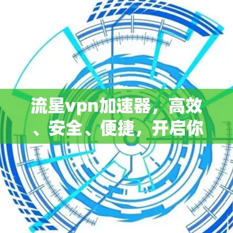 流星vpn加速器,高效、安全、便捷,开启你的VPN之旅!