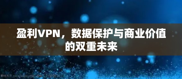 盈利VPN,数据保护与商业价值的双重未来