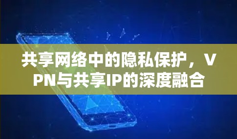 共享网络中的隐私保护，VPN与共享IP的深度融合