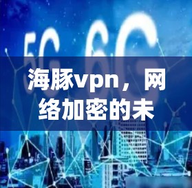 海豚vpn,网络加密的未来