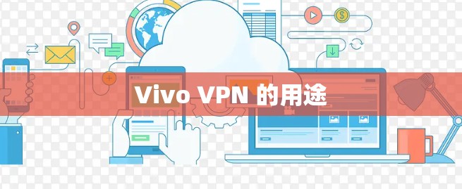 Vivo VPN 的用途