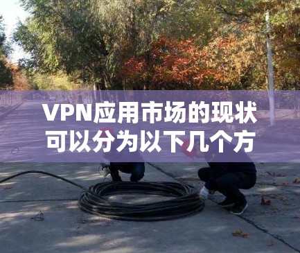 VPN应用市场的现状可以分为以下几个方面进行分析