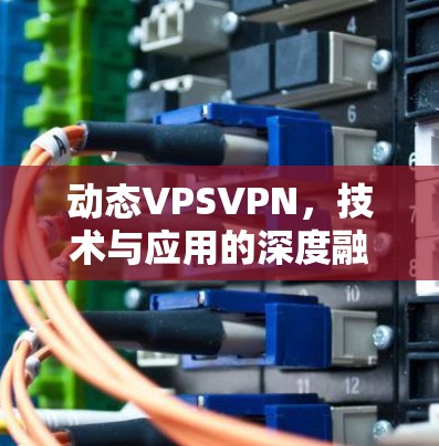 动态VPSVPN,技术与应用的深度融合