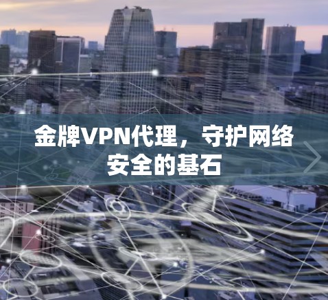 金牌VPN代理,守护网络安全的基石