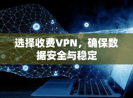 选择收费VPN,确保数据安全与稳定