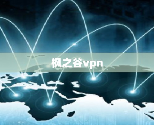 枫之谷vpn