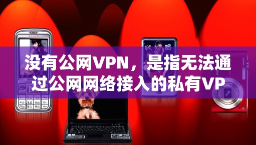 没有公网VPN，是指无法通过公网网络接入的私有VPN。这种情况可能有很多原因，包括但不限于