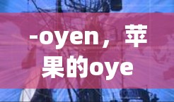 -oyen,苹果的oyen应用程序是安卓版的谷歌VPN,支持多种加密方式,适合个人用户和企业用户