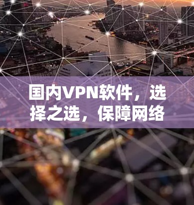 国内VPN软件,选择之选,保障网络安全