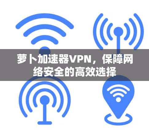 萝卜加速器VPN,保障网络安全的高效选择 萝卜加速器VPN,保障网络安全的高效选择