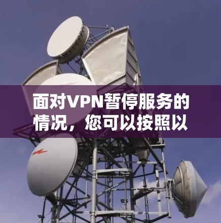 面对VPN暂停服务的情况，您可以按照以下步骤进行