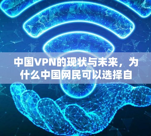 中国VPN的现状与未来，为什么中国网民可以选择自由的模式