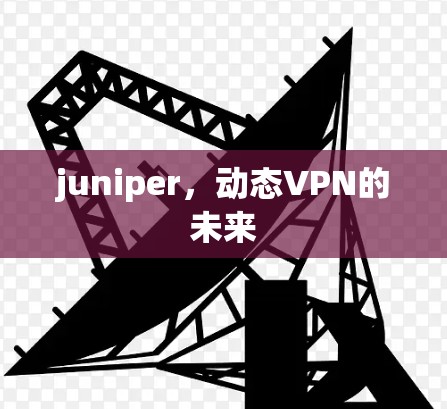 juniper,动态VPN的未来