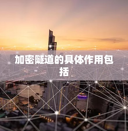 加密隧道的具体作用包括